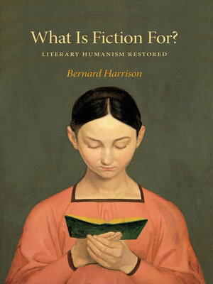 cover image of What Is Fiction For?